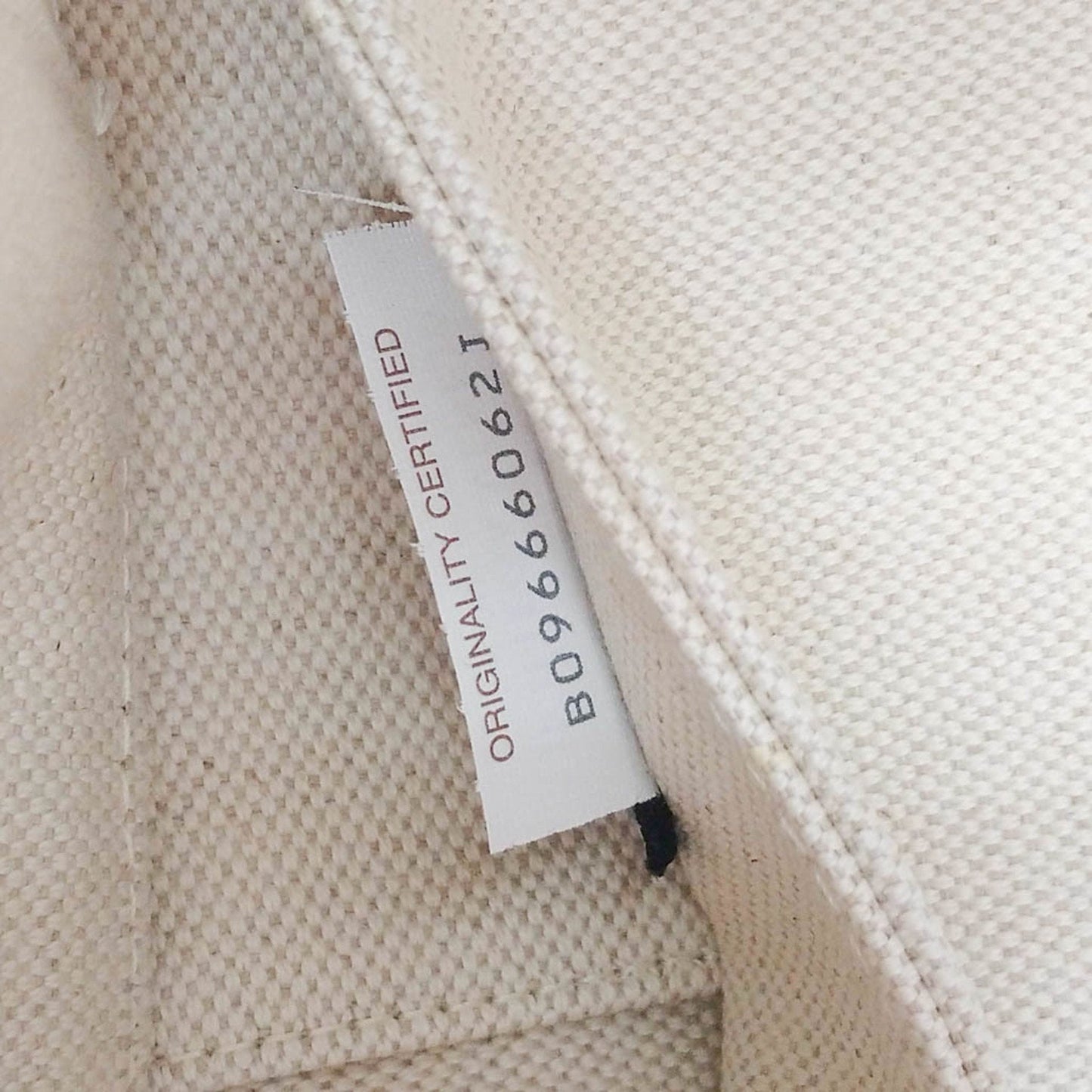BOTTEGA VENETA Arco Tote