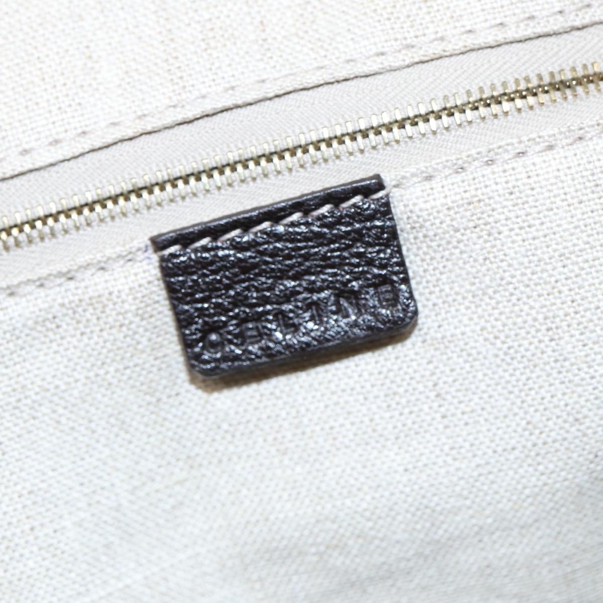 CELINE Boogie Handbag
