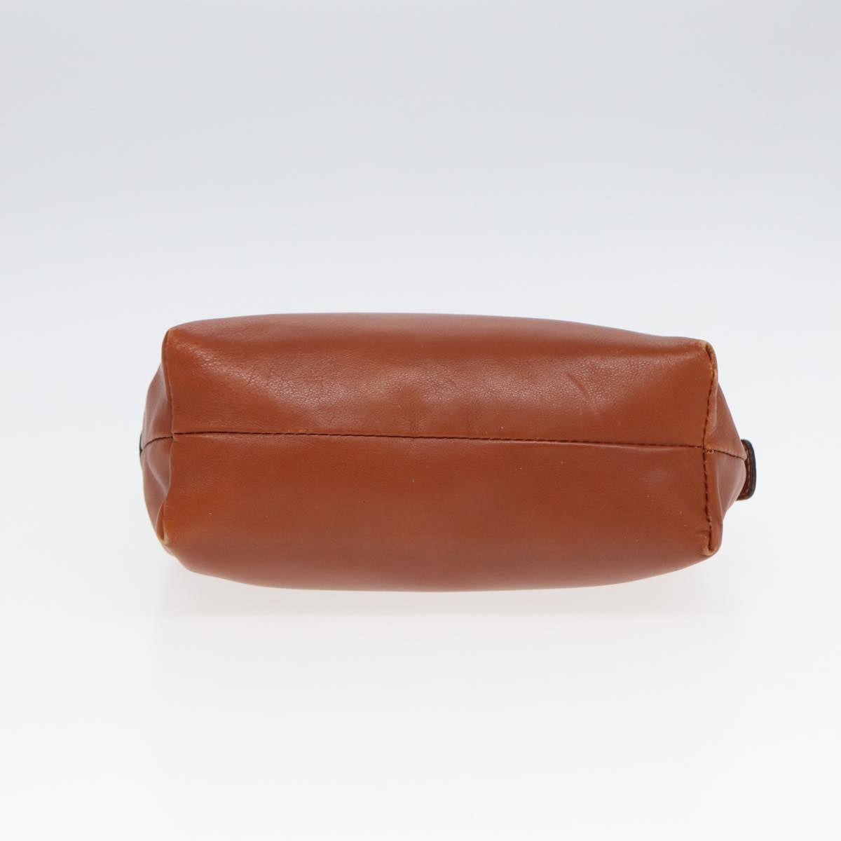 CELINE Clutch Bag