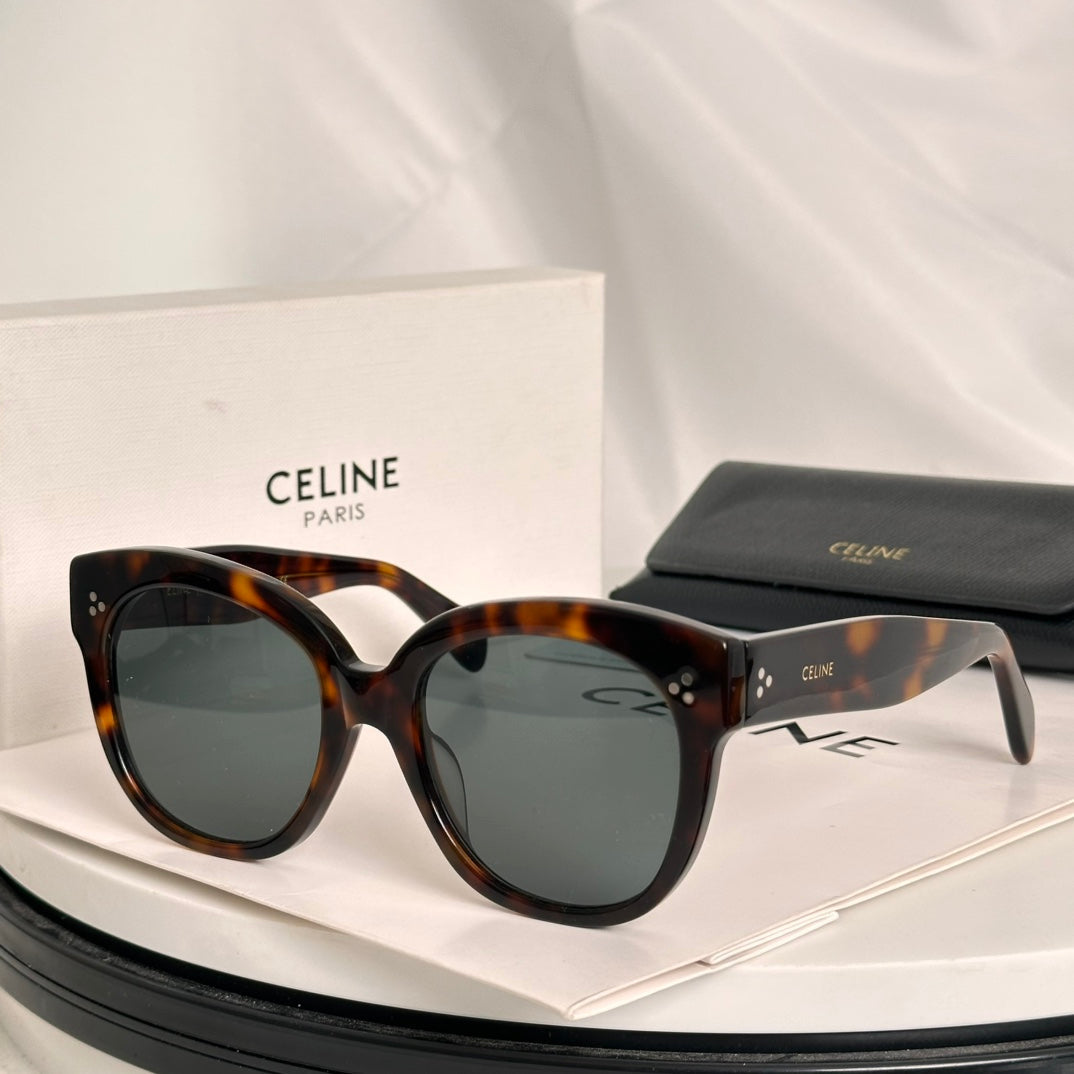 Celine TRIOMPHE SUNGLASS CL4002UN IN ACETATE