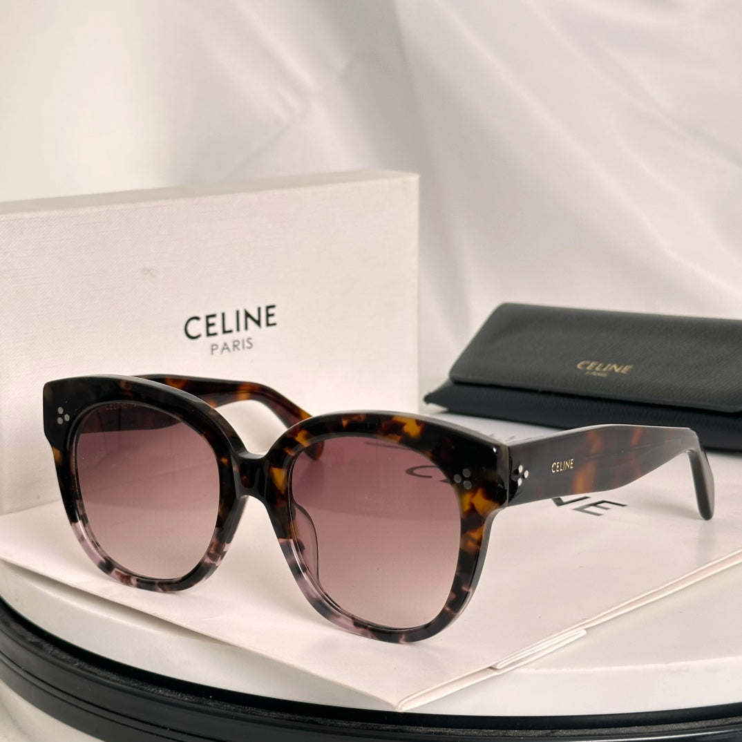 Celine TRIOMPHE SUNGLASS CL4002UN IN ACETATE