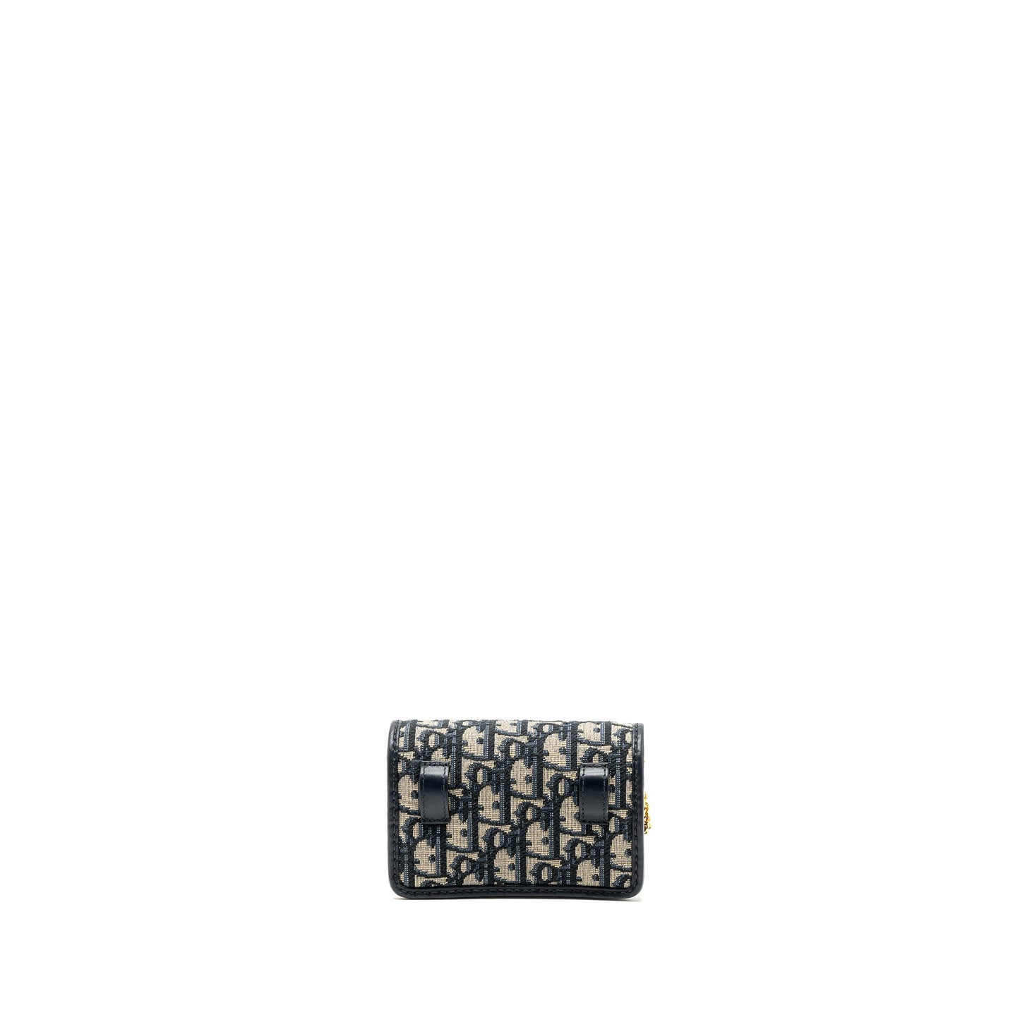 Dior 30 Montaigne Pouch with Chain Canvas Blue Oblique