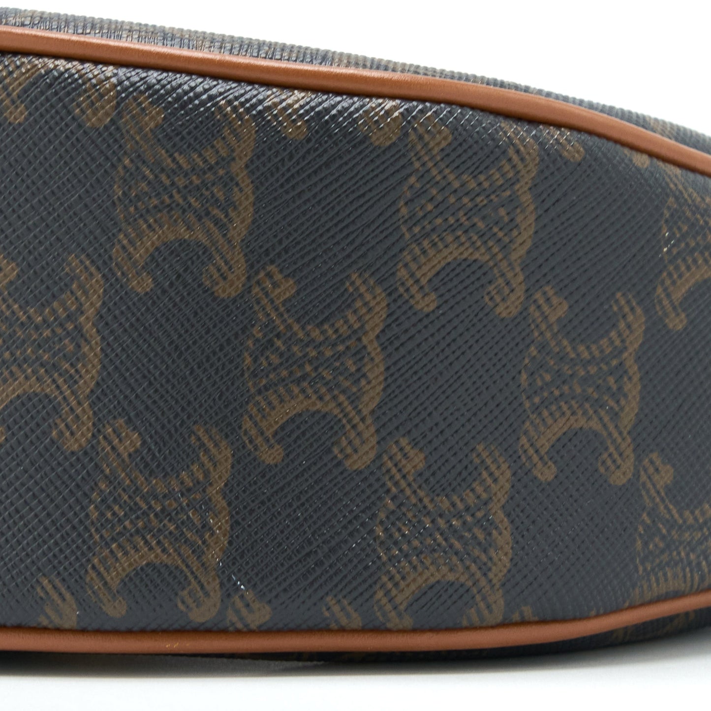 Celine Ava Bag in Triomphe Canvas/Calfskin Tan