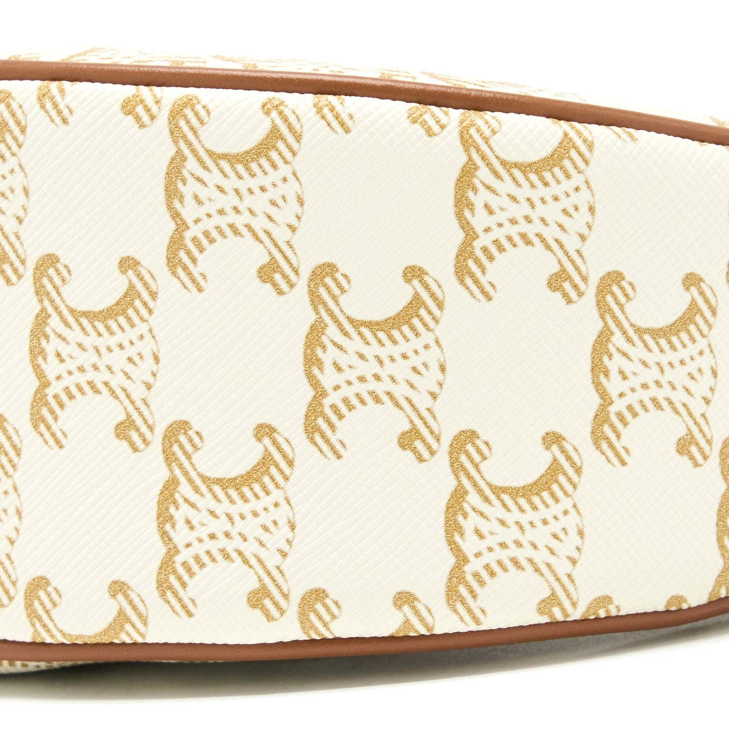Celine Ava Bag in Triomphe Canvas/Calfskin White