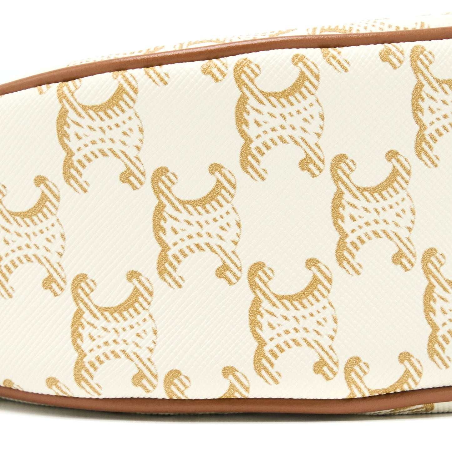 Celine Ava Bag in Triomphe Canvas/Calfskin White