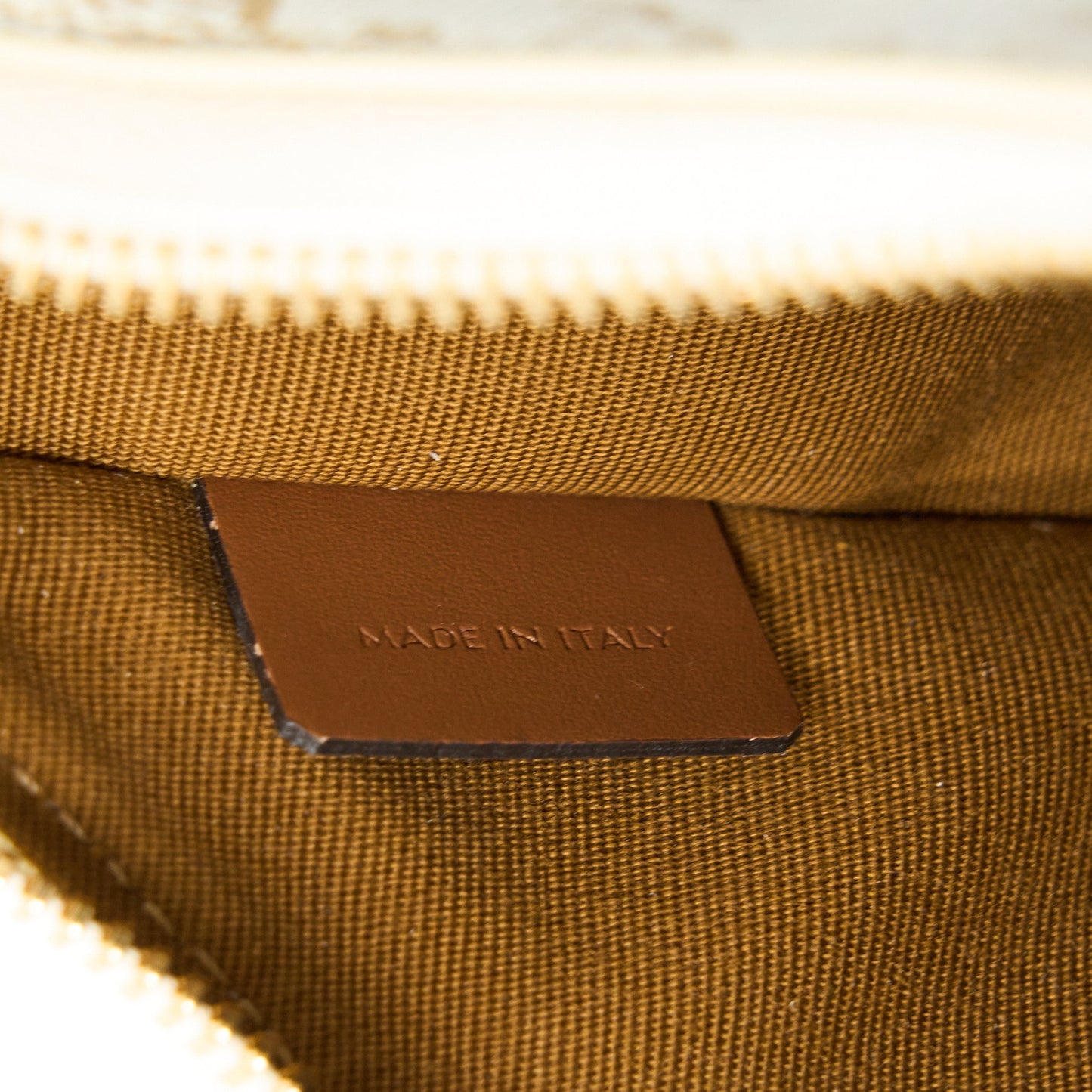 Celine Ava Bag in Triomphe Canvas/Calfskin White