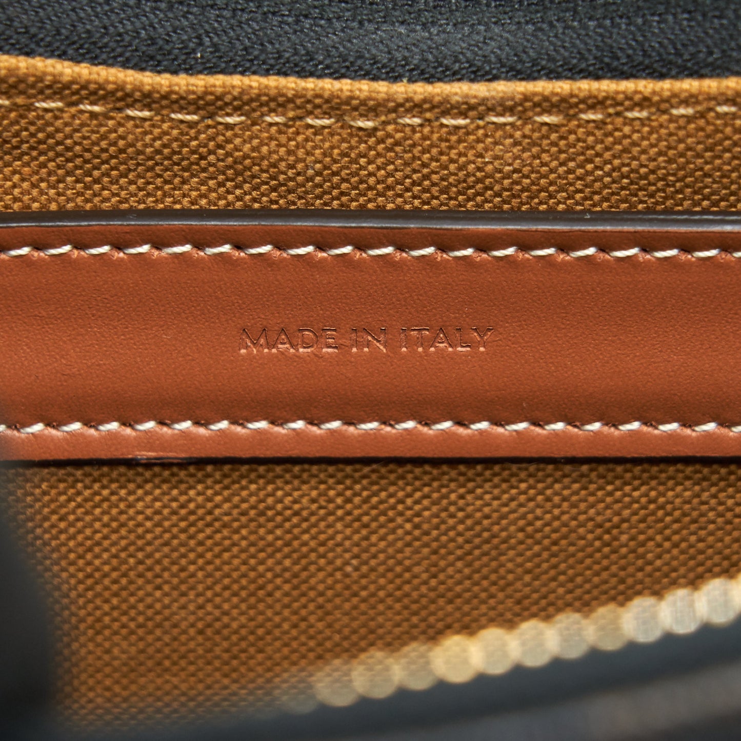 CELINE AVA BAG IN TRIOMPHE CANVAS AND CALFSKIN TAN