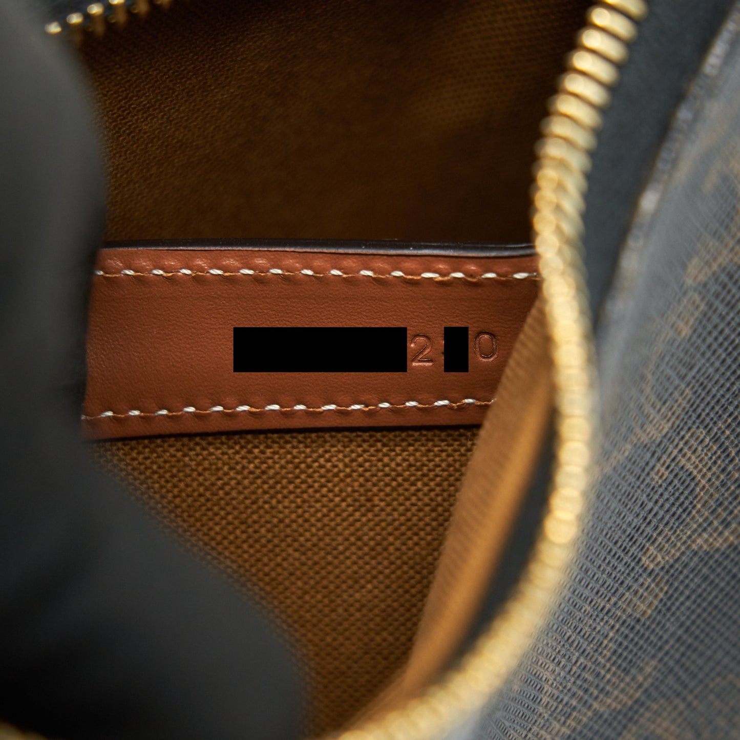 CELINE AVA BAG IN TRIOMPHE CANVAS AND CALFSKIN TAN
