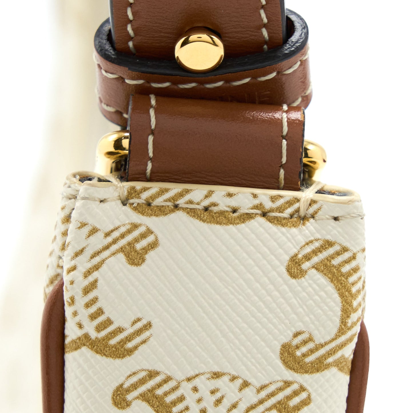 Celine Ava Bag In Triomphe Canvas And Calfskin White
