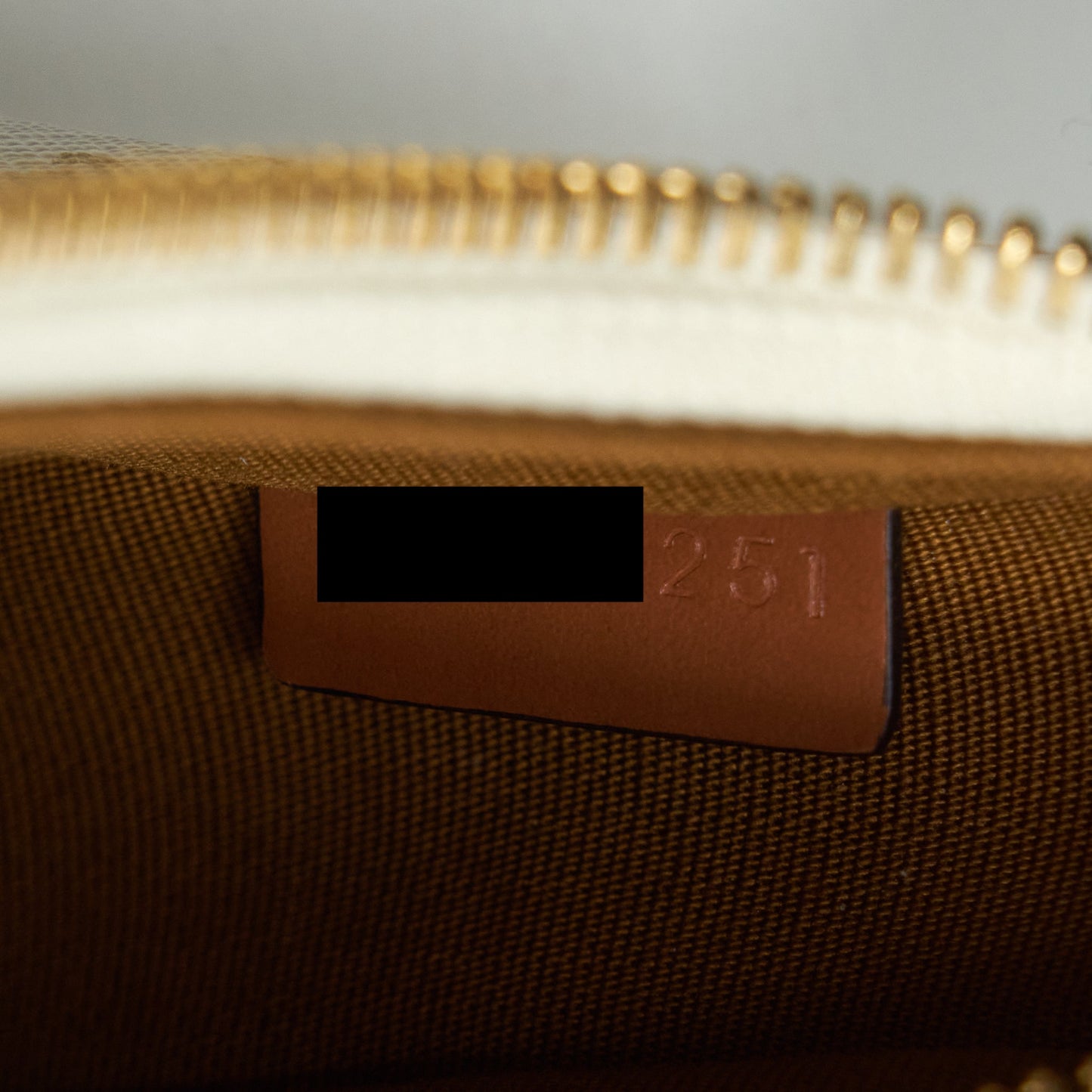Celine Ava Bag Triomphe Canvas And Leather White