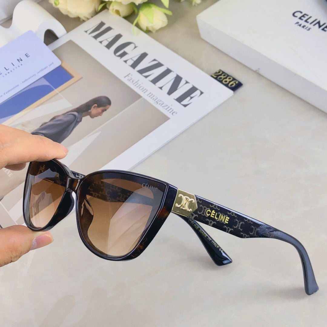 Celine TRIOMPHE SUNGLASS 510942 IN ACETATE
