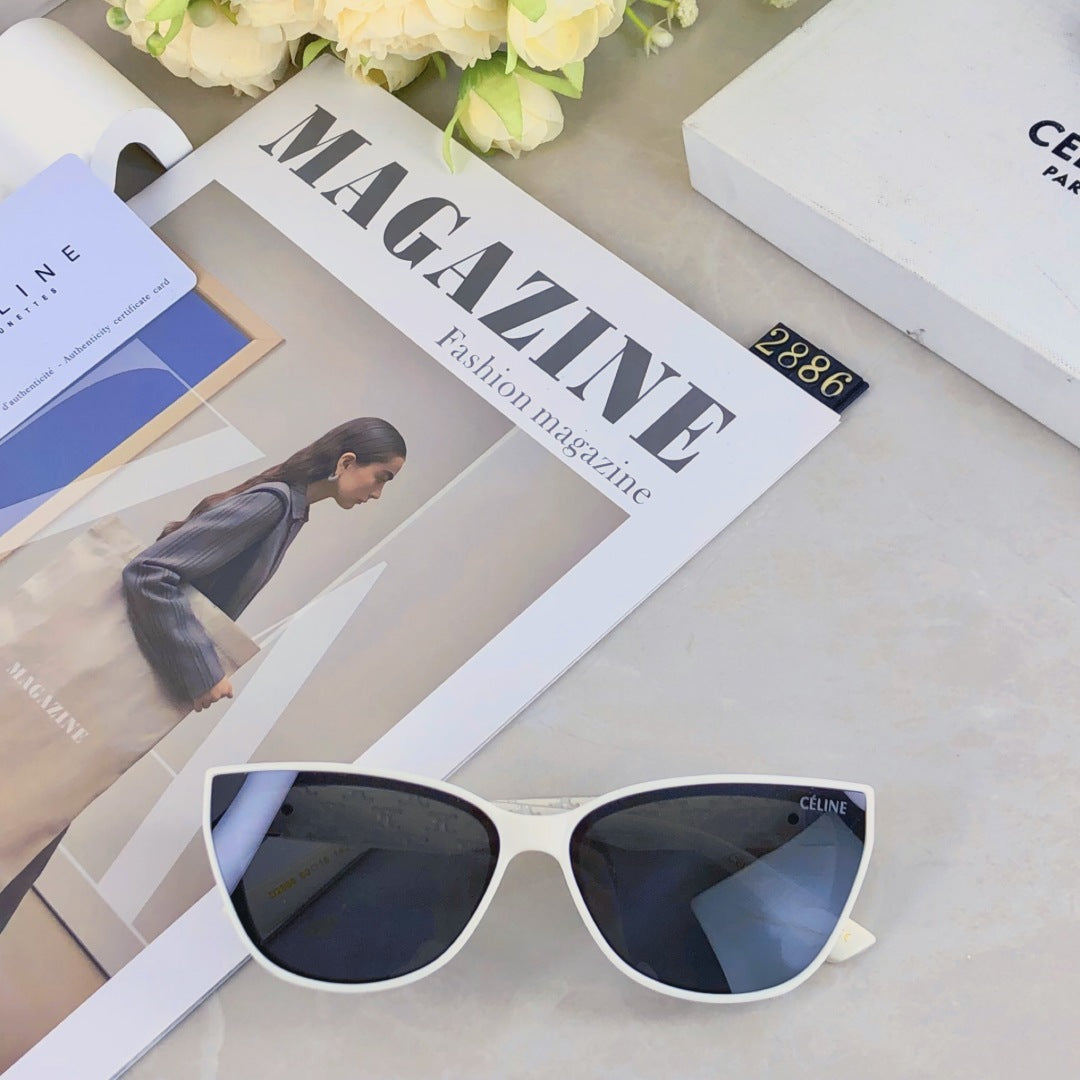 Celine TRIOMPHE SUNGLASS 510942 IN ACETATE