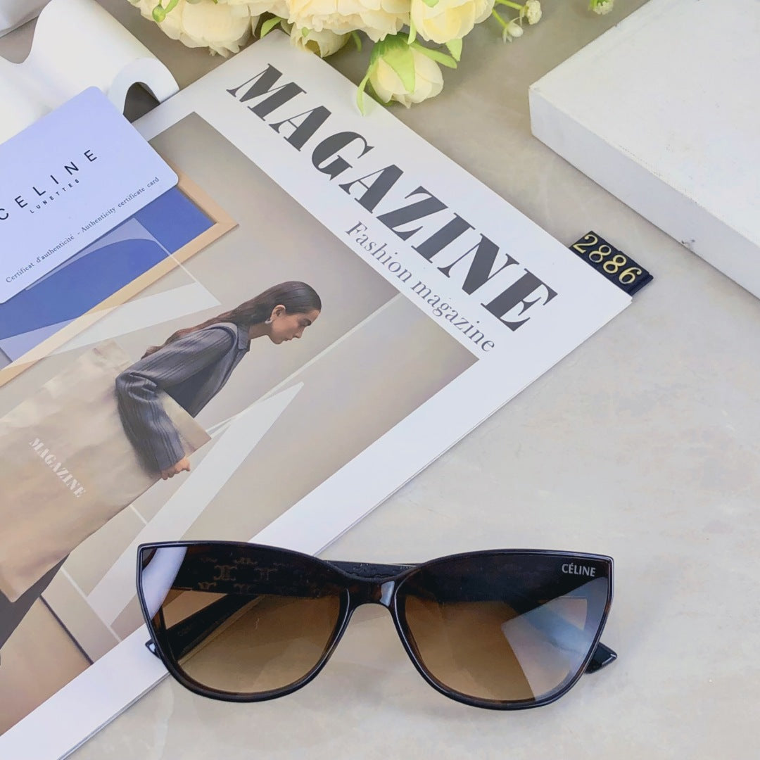 Celine TRIOMPHE SUNGLASS 510942 IN ACETATE