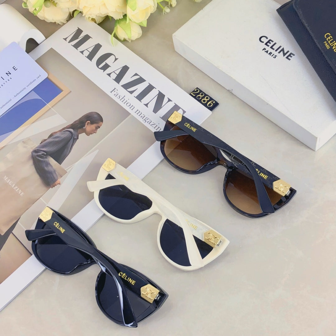 Celine TRIOMPHE SUNGLASS 510942 IN ACETATE