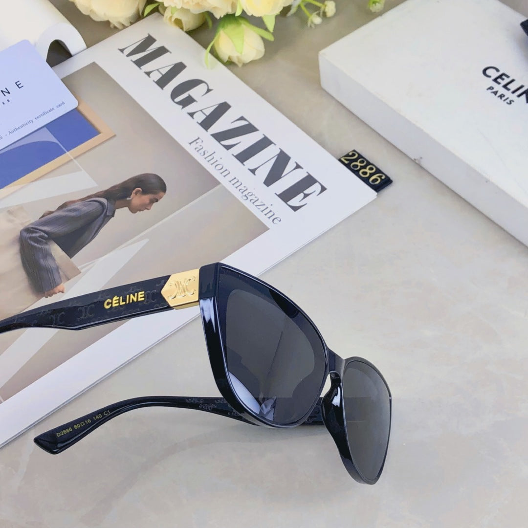 Celine TRIOMPHE SUNGLASS 510942 IN ACETATE