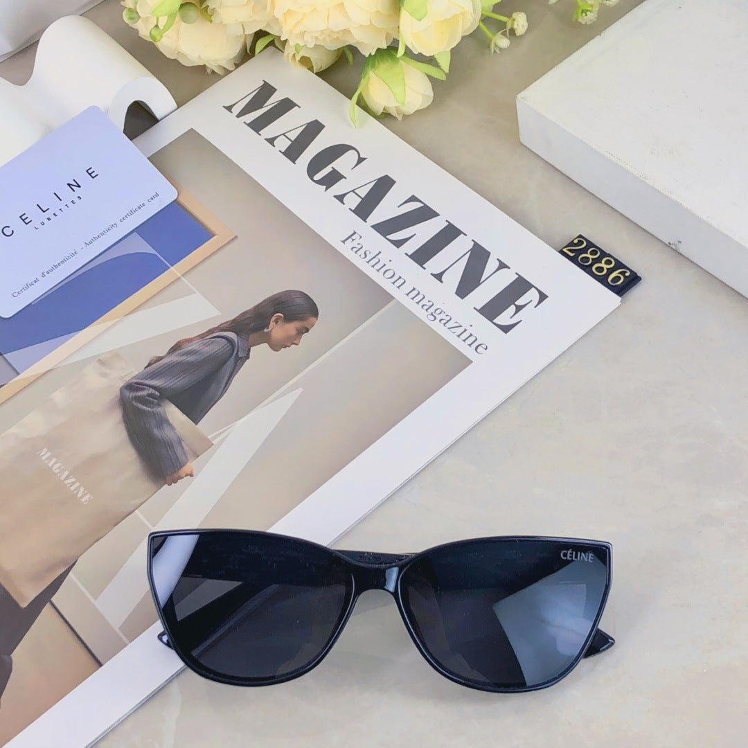 Celine TRIOMPHE SUNGLASS 510942 IN ACETATE