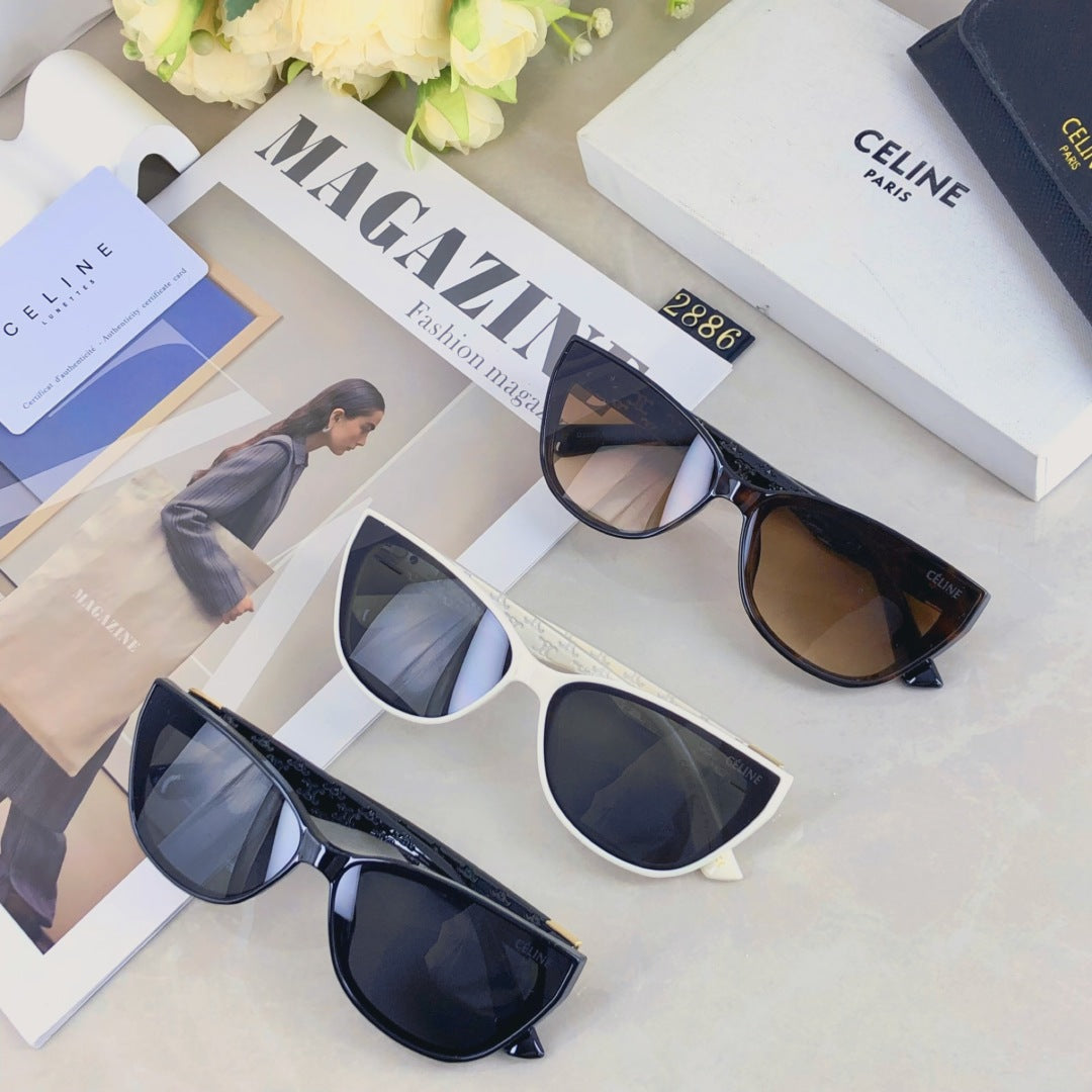 Celine TRIOMPHE SUNGLASS 510942 IN ACETATE
