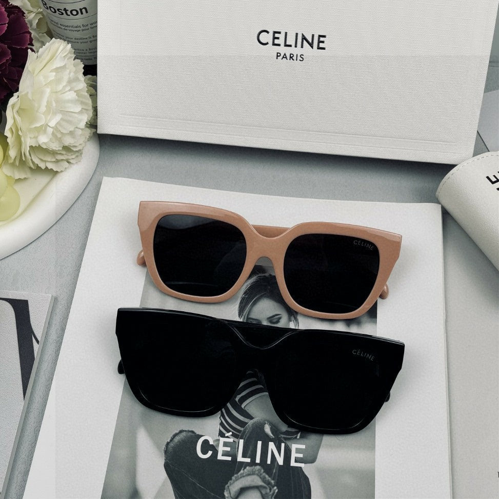 Celine TRIOMPHE SUNGLASS 566598 IN ACETATE