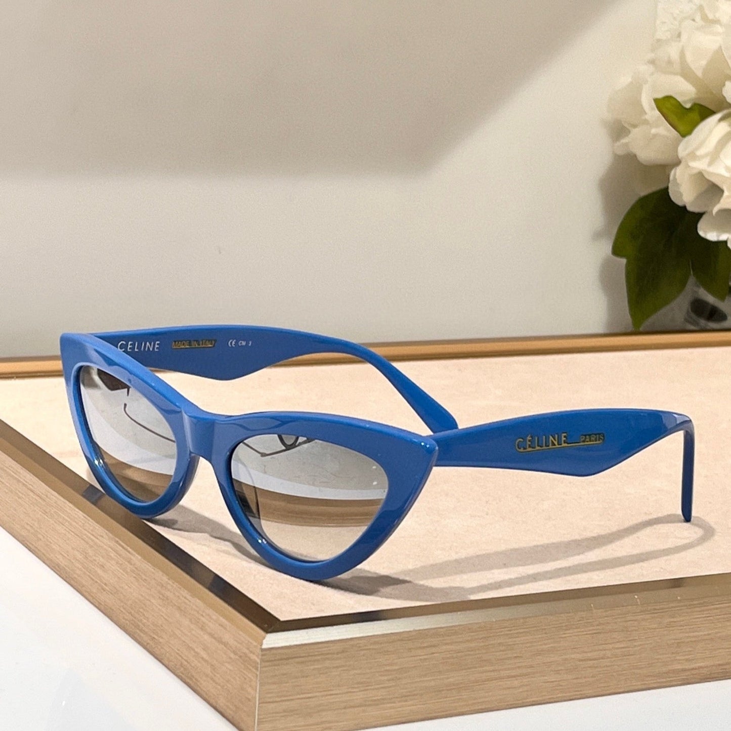 Celine TRIOMPHE CAT EYE SUNGLASS CL40019 IN ACETATE