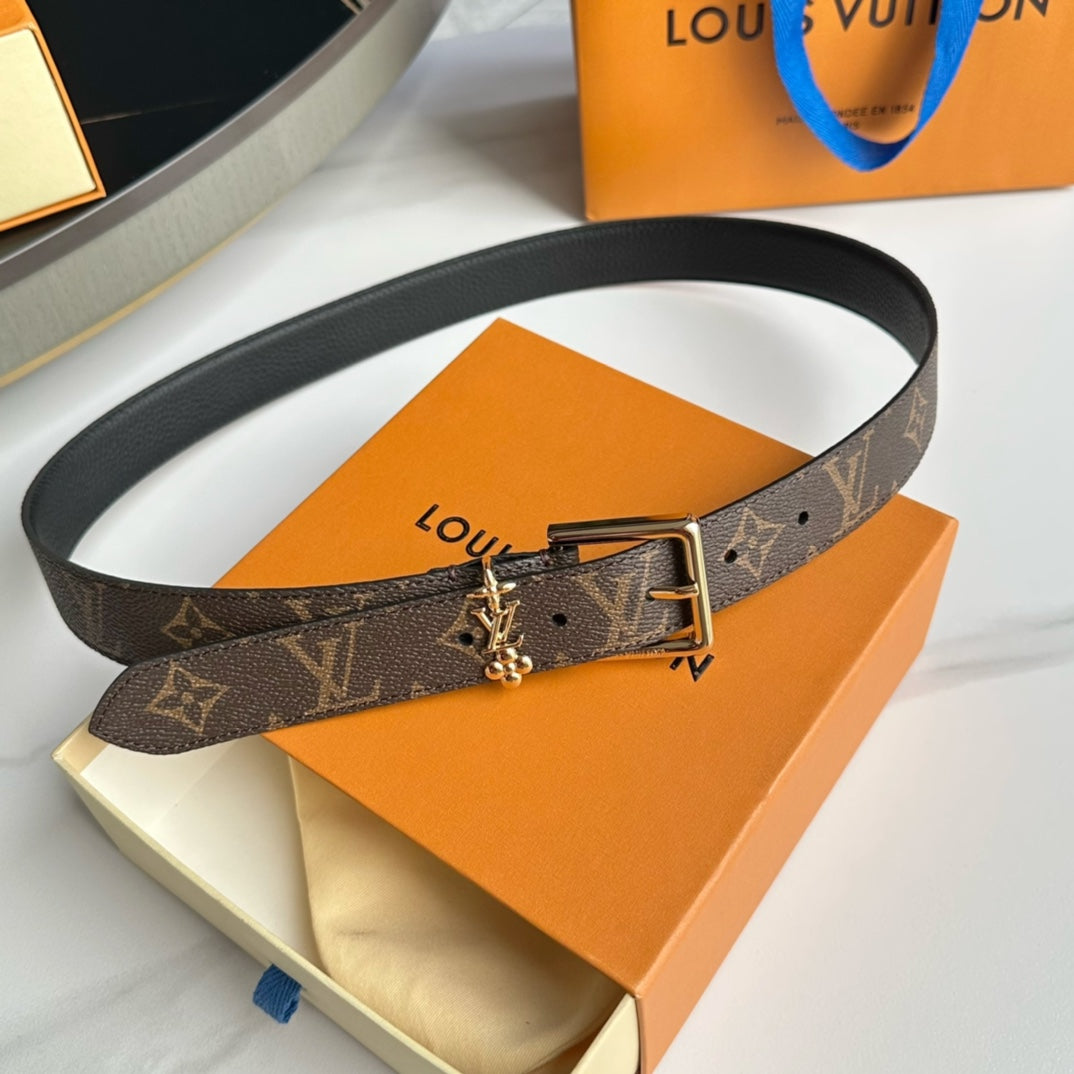 Louis Vuitton Bloom 30mm Belt Gold Buckle Black Brown Leather