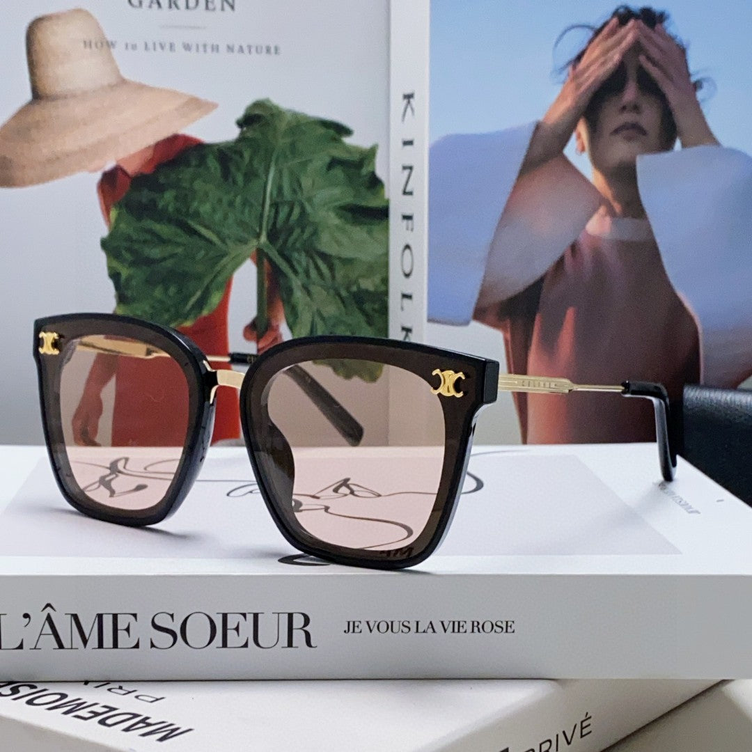 Celine TRIOMPHE SUNGLASSES 548589 IN BLACK ACETATE GRADIENT SMOKE LENSES