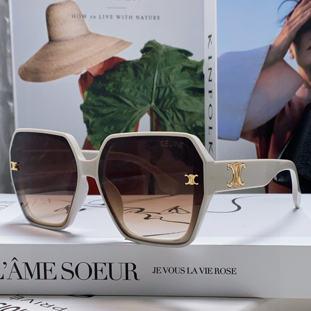 Celine TRIOMPHE SUNGLASSES 552770 IN LIGHT GREY ACETATE