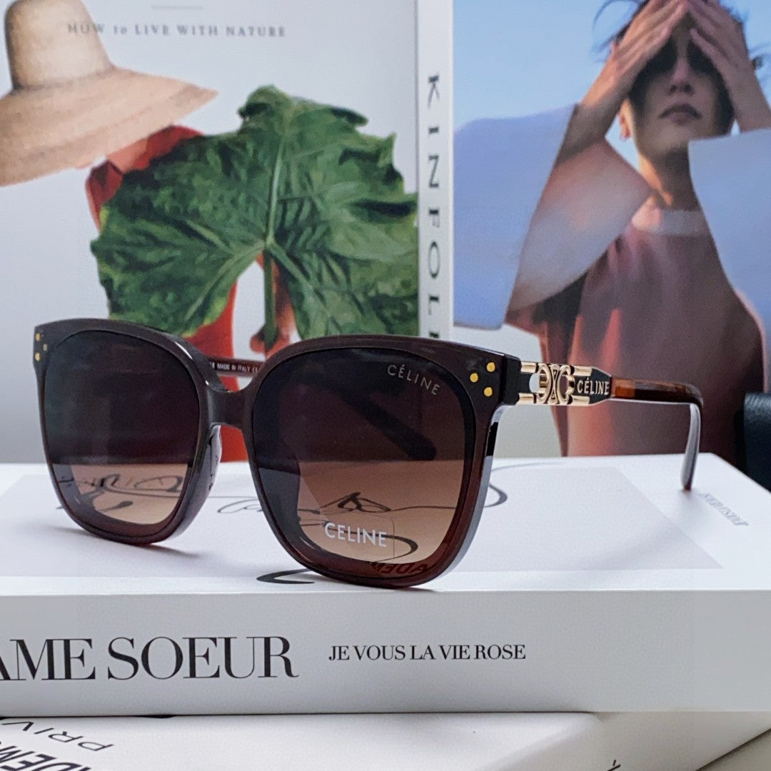 Celine TRIOMPHE SUNGLASSES 573248 IN BROWN ACETATE METAL LOGO