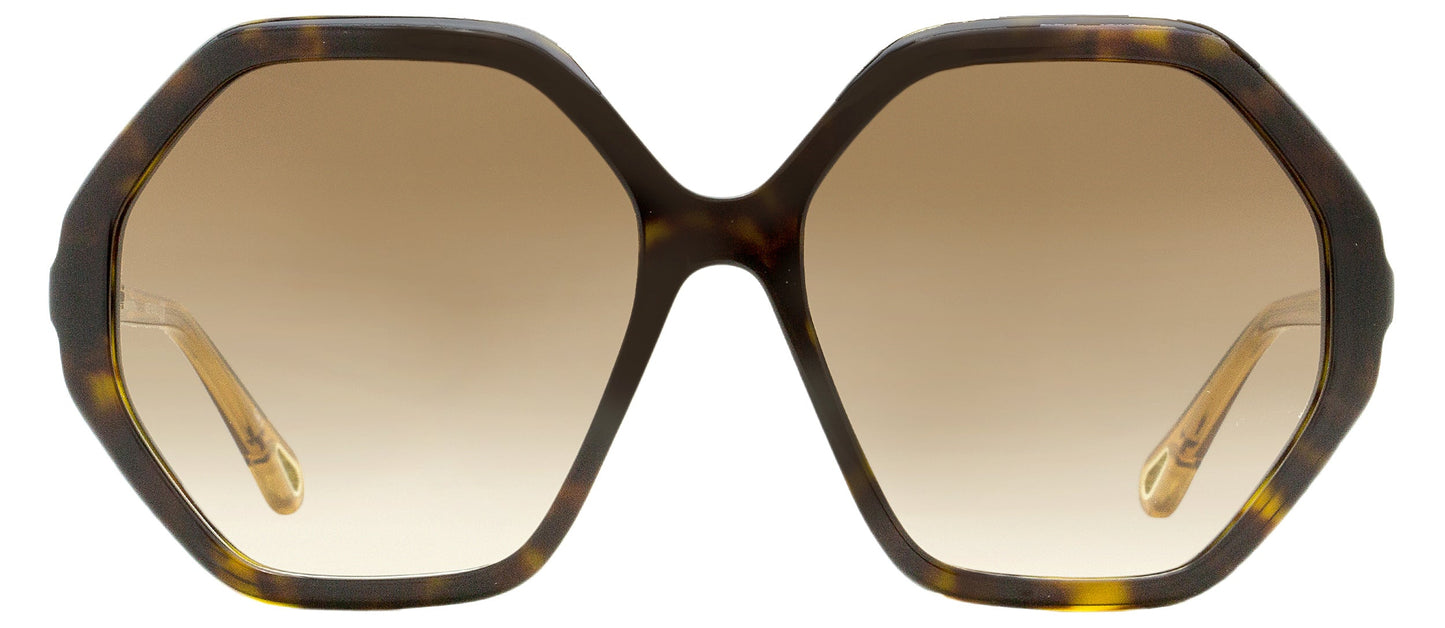 Chloe Women's Esther Sunglasses CH0008SA 004 Havana/Brown 58mm