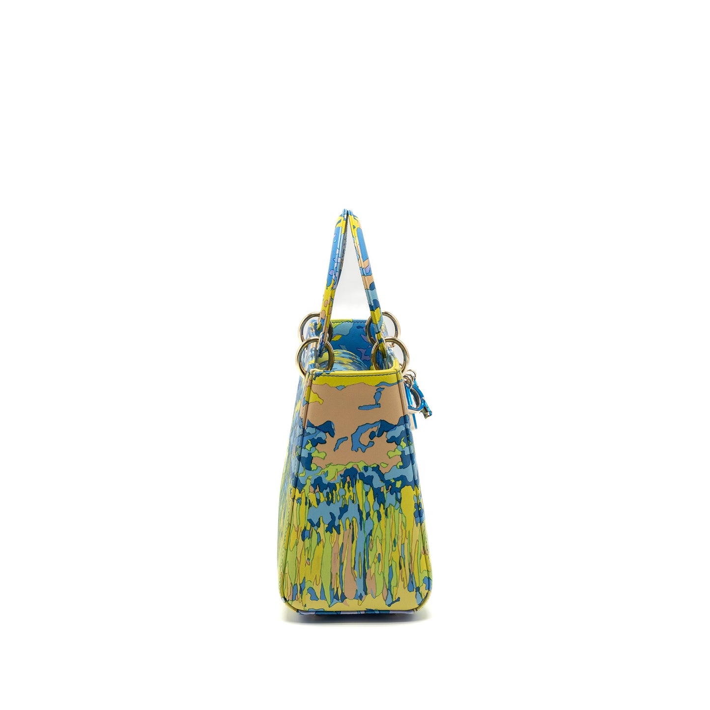 Dior Medium Lady Dior Bag Multicolour